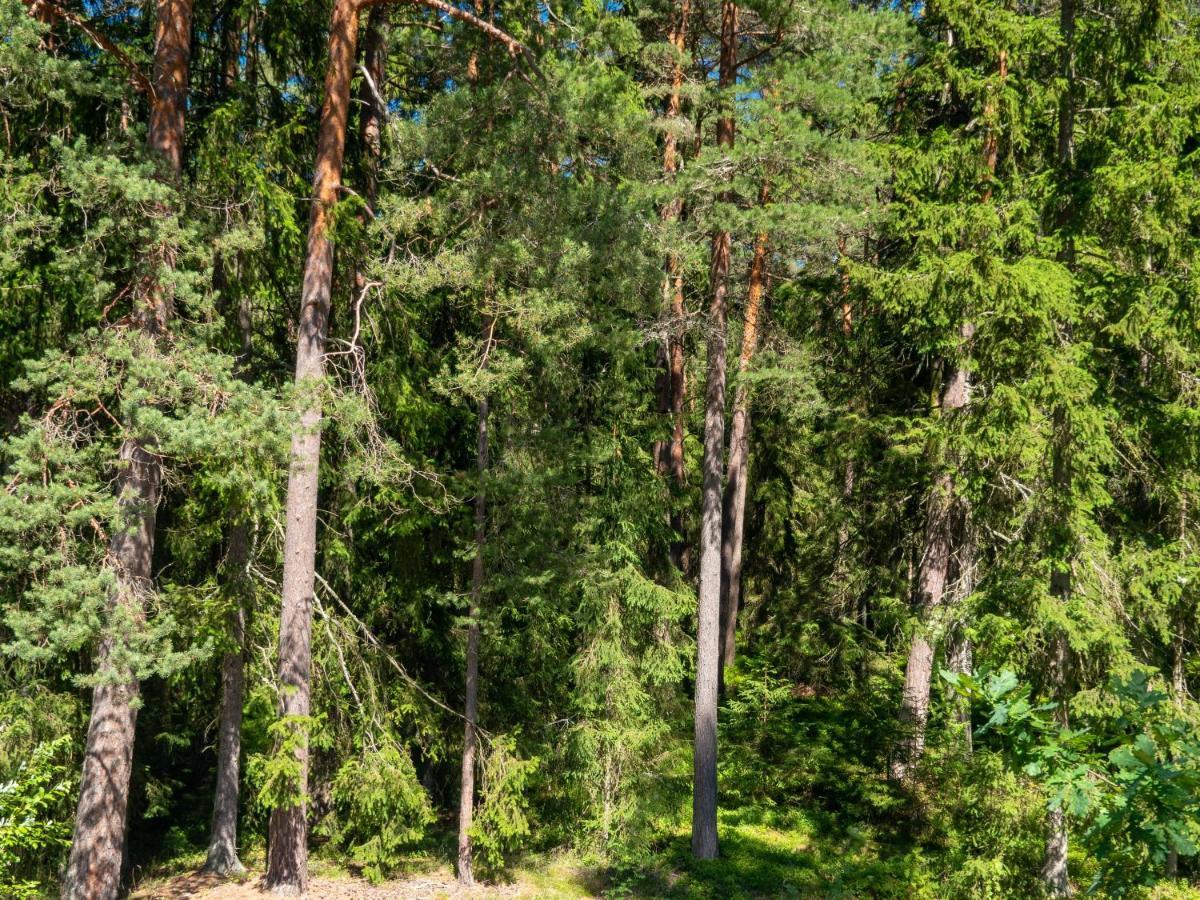 Nature Guest House Võsu Kültér fotó